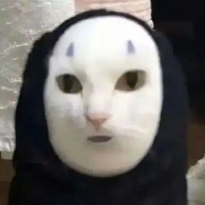 憨猫憨狗
