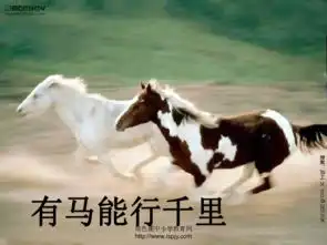 人教版一年级语文下册识字4
