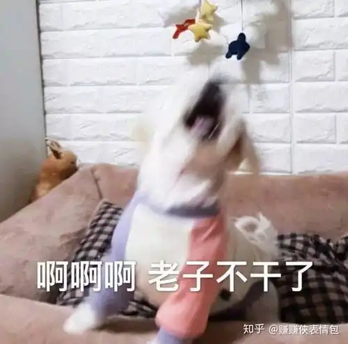 赞的表情包微信朋友圈