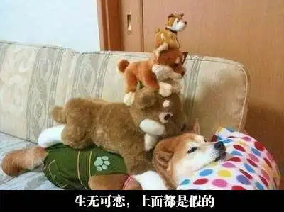 搞笑精彩的搞笑图片每日一笑第十七期
