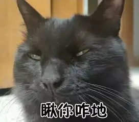 全新猫咪斗图表情包来啦

