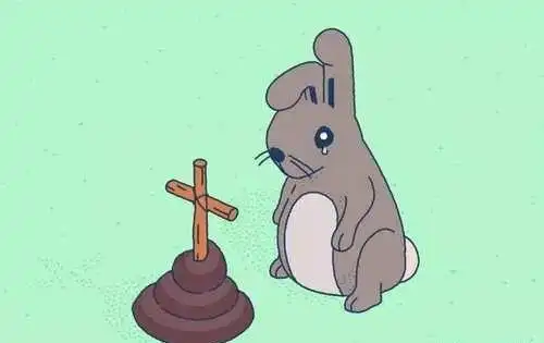 生活中有什么有趣的冷知识这样喝水会死
