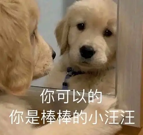 高亮京东白条只要开通过就会上征信报告...
