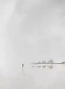 搜狐网
