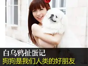 dnf图片站恶搞精选
