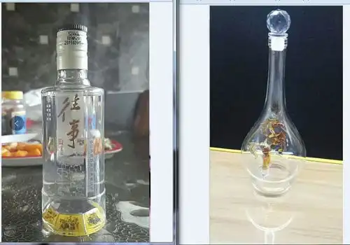 小酒瓶有大学问白酒瓶上的信息你了解多少
