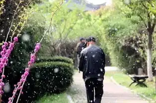 聊城明天雷阵雨6到7级大风,倒春寒要防
