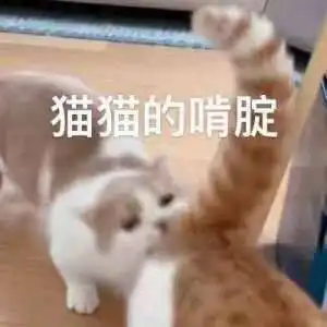2022在职备考cpa,组个小队已满