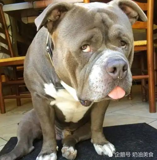 搞笑段子夫妻二人吃饭,丈夫老是挑鱼身上的肉吃,妻感叹
