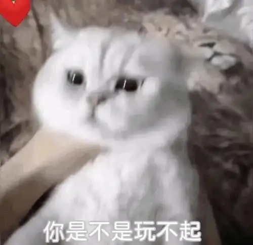 今天王将至将至更新了我xsjxgwufjd再等等就...
