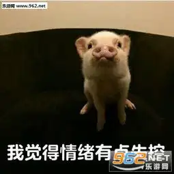 你真是我的掌上明猪表情包图片猪自杀表情包搞笑带字图片下载乐游网游戏下载
