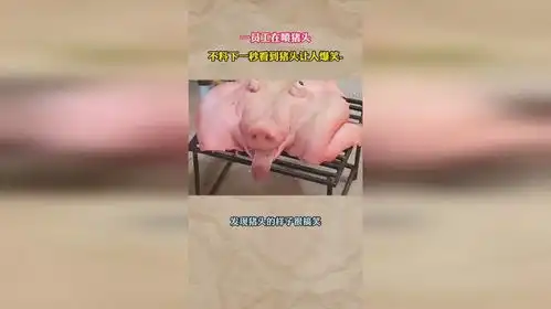 一员工正在喷猪头,不料下一秒看到猪头让人爆笑
