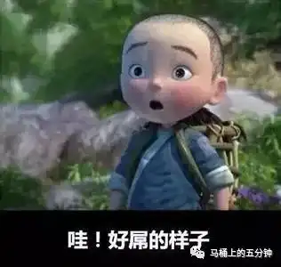 坐马桶上图个乐