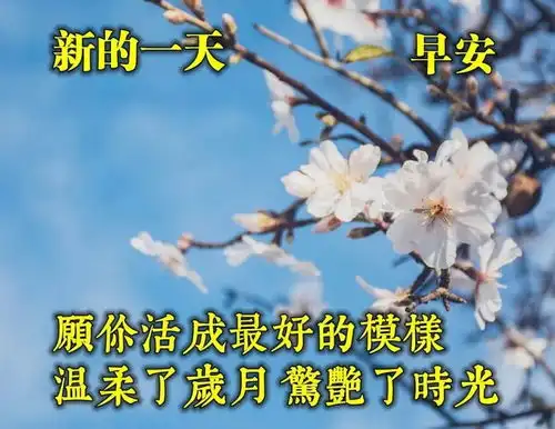 2021年清晨最美妙的早安心语正能量句子早安动态表情图片带字带祝福语
