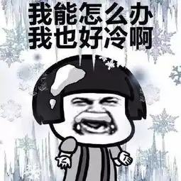 东北下雪了看到雪的南方人,比雪还好玩沸话
