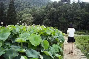 夏天少女及中老年妇女背影psd素材免费下载红动中国
