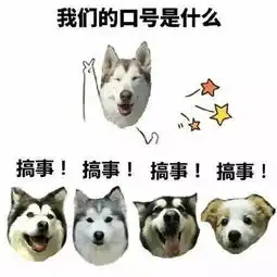 李玟15年后穿奥斯卡红旗袍身材依旧火辣,孙俪一双袜子穿20年
