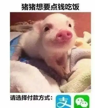 幽默图片搞笑段子大家是怎么问父母要生活费的有啥硬核方法
