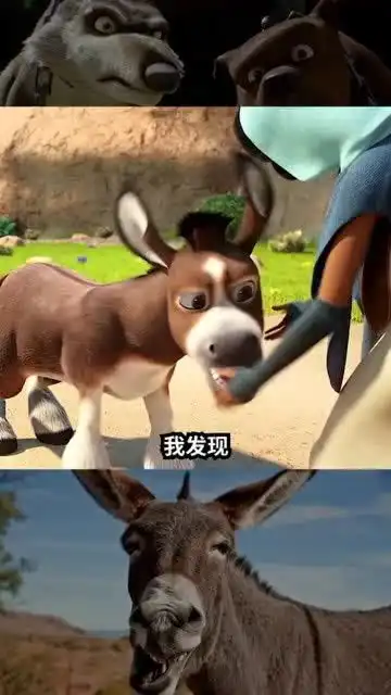 倔驴子爆笑搞笑我最擅长的东西总是发挥不好
