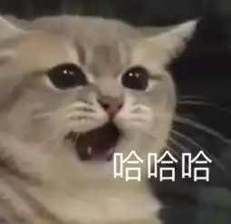 撩骚表情包人不好色,好什么

