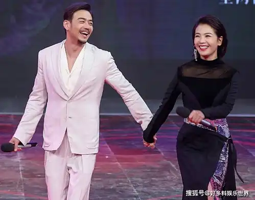 刘涛和杨烁到底是什么关系两个人曾合作了哪些作品
