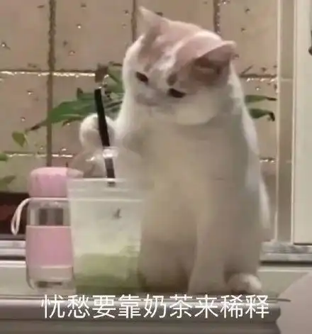 一组可爱搞笑的表情包动图片
