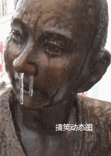 搞笑gif喵,你们先别笑听我说,本来我是要投胎做熊猫的
