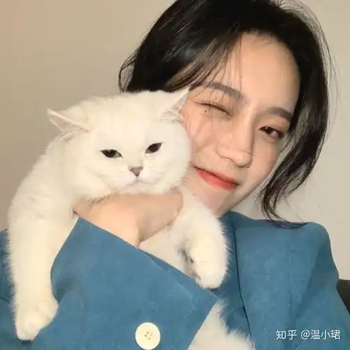 有哪些适合发说说的沙雕可爱文案
