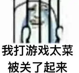 用什么掩饰游戏玩的菜这表情包有点皮,唯独没有蔡徐坤