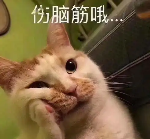 养猫就要戒掉这6件事,不然你别养了
