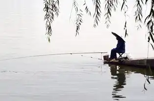 闷热的夏季遇到刮风天更好钓鱼,但是要注意这几个点,鱼获才会好

