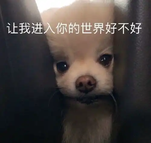 可爱表情包图片啃爪爪,让我进入你的世界好不好
