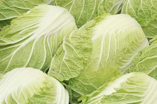 含有这3个特征的白菜,80使用了甲醛,搞活动也别买
