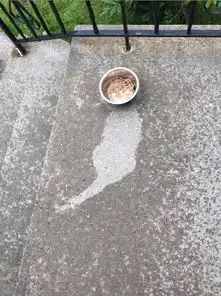 终于知道为什么大橘为重了这些橘猫肯定充了气