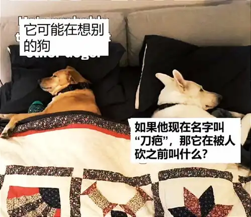无标题
