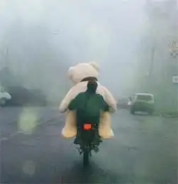 熊孩子经常出去乱跑,自从理了这个发型之后再也不乱跑了搜狐其它搜狐网
