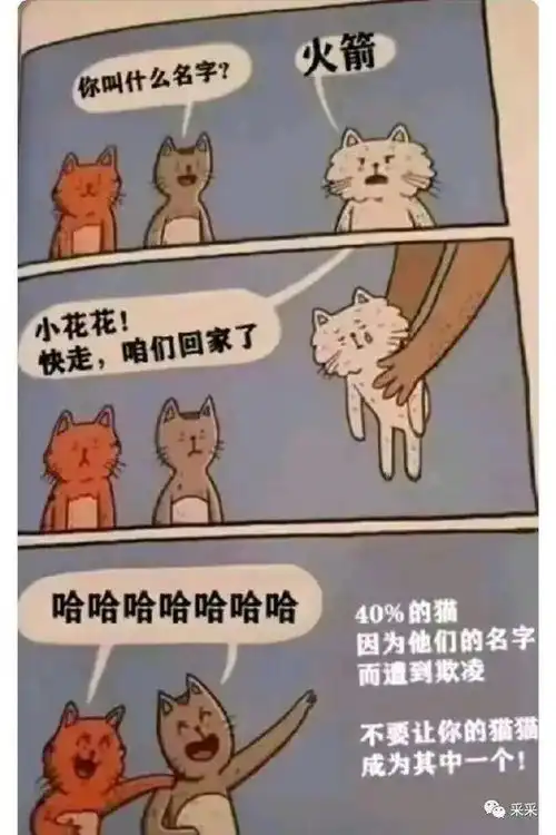 划水的狗狗好开心呀动物幽默趣图
