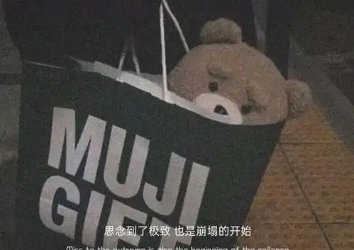 去爱吧,像你当初爱我一样
