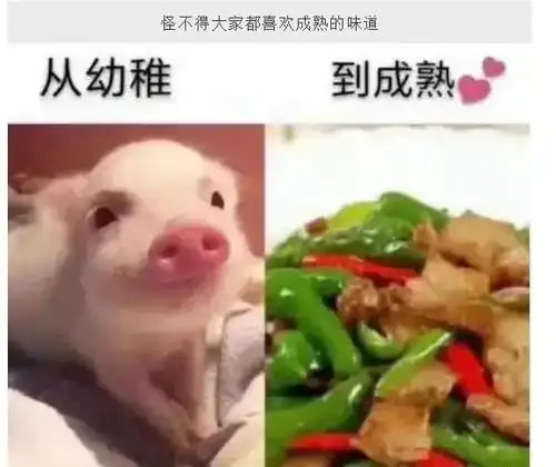 20张很是经典的搞笑图片,简单有趣,笑点十足,不信你笑不出来
