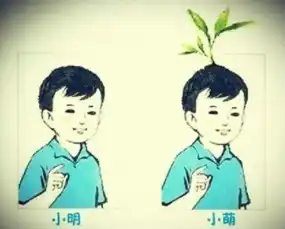 大众承认排放门或涉及中国将调查进口途观
