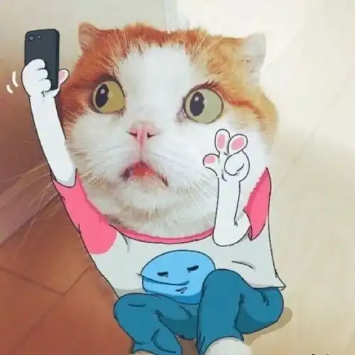 嘿嘿,搞笑头像
