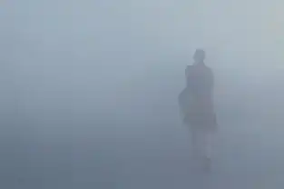 雾霾天,我们应该怎么做
