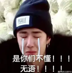 王一博的表情包是出圈了吧,继孙红雷用了养蜂人之后,ta用来怼人
