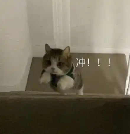 可爱小动物表情包合集29