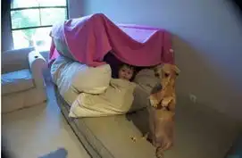 盘点让你笑出眼泪的搞怪囧图
