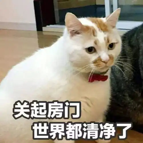 蜗牛竞猜第15期这张图片相匹配的书名是

