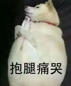 汪星人搞笑表情包无水印版
