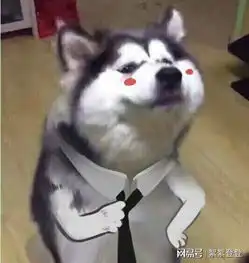 汉语言文学专业你真的懂
