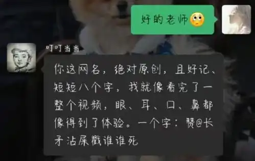 搞笑图片幽默段子笑话我见过最霸气的网名
