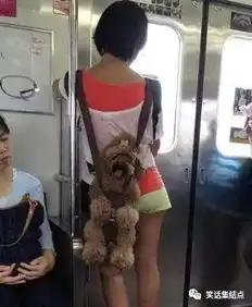 幽默gif小姐姐,夹腿的技术明显有练过
